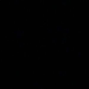 Meet your Posher, Nelly